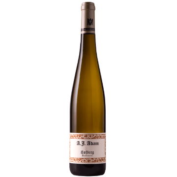 Picture of A.J. Adam Dhroner Hofberg Riesling Kabinett 2022