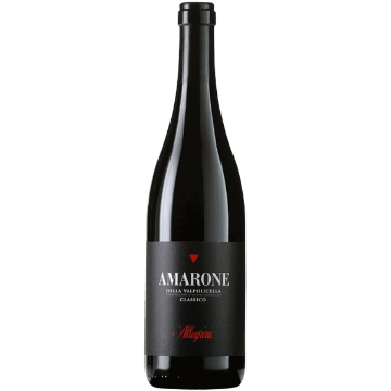 Picture of Allegrini Amarone della Valpolicella Classico 2019
