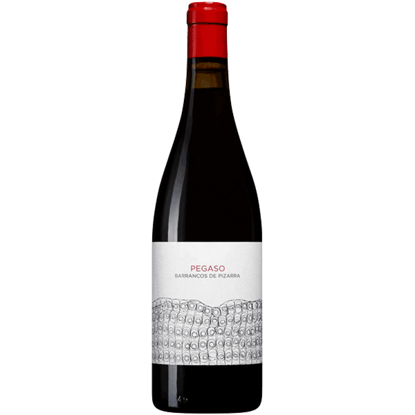 Picture of Telmo Rodriguez Pegaso Barrancos de Pizarra 2018