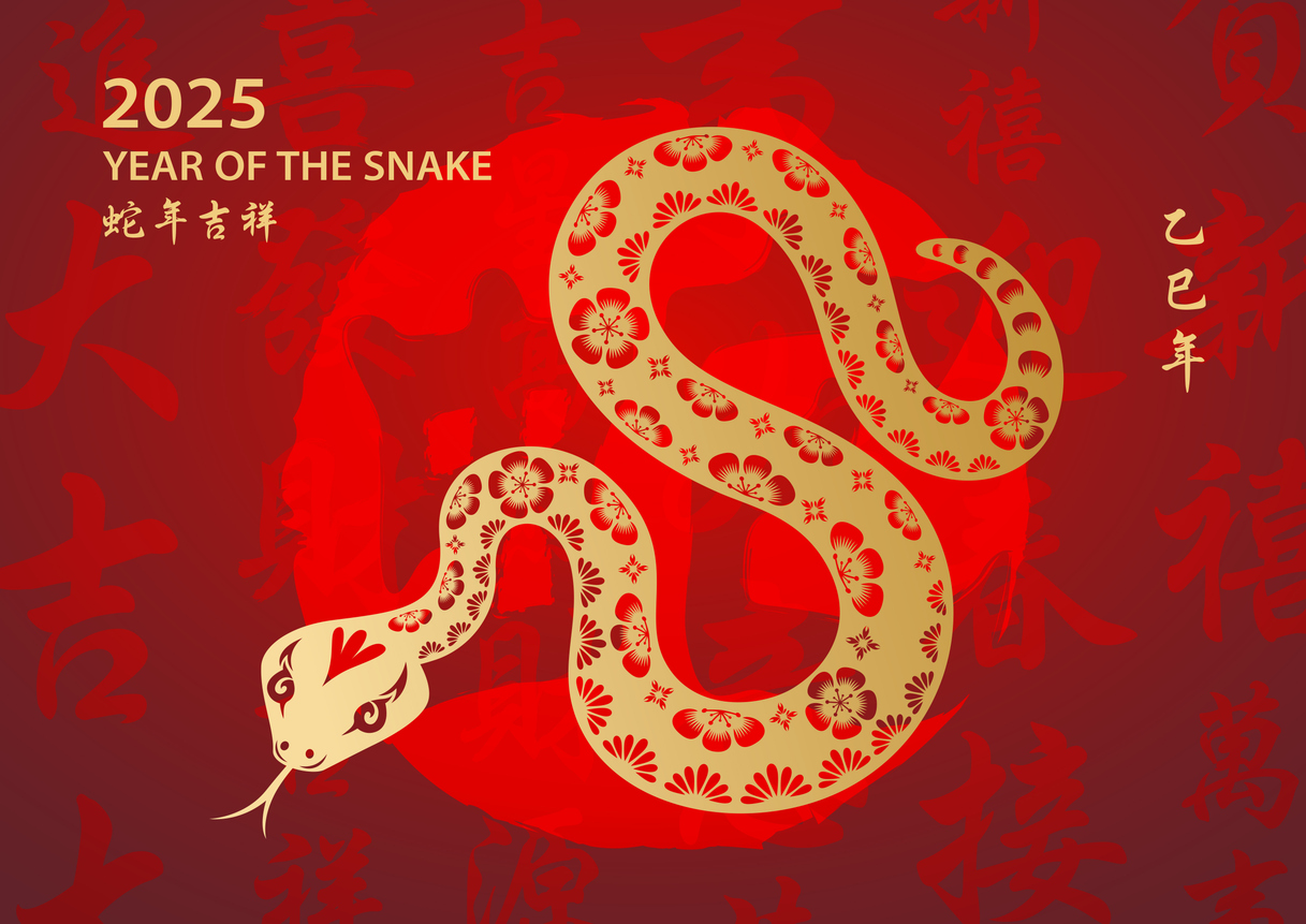 Lunar New Year 